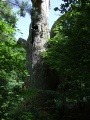 2011- 202.jpg